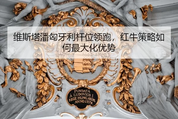 wei-si-ta-pan-xiong-ya-li-gan-wei-ling-pao-hong-niu-ce-lve-ru-he-zui-da-hua-you-shi-3-580.jpg