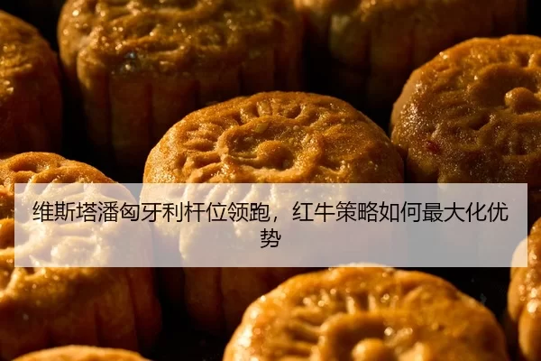 维斯塔潘匈牙利杆位领跑，红牛策略如何最大化优势