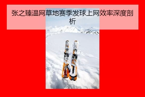 zhang-zhi-zhen-wen-wang-cao-di-sai-ji-fa-qiu-shang-wang-xiao-lv-shen-du-pou-xi-3-343.jpg