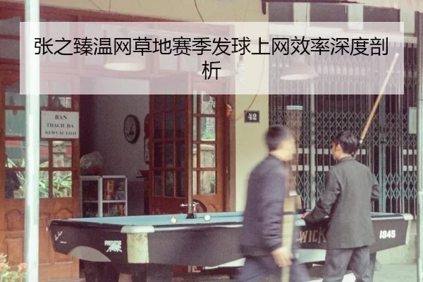 张之臻温网草地赛季发球上网效率深度剖析
