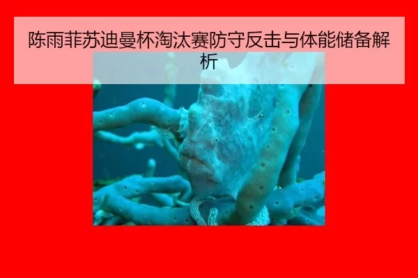 chen-yu-fei-su-di-man-bei-tao-tai-sai-fang-shou-fan-ji-yu-ti-neng-chu-bei-jie-xi-3-831.jpg
