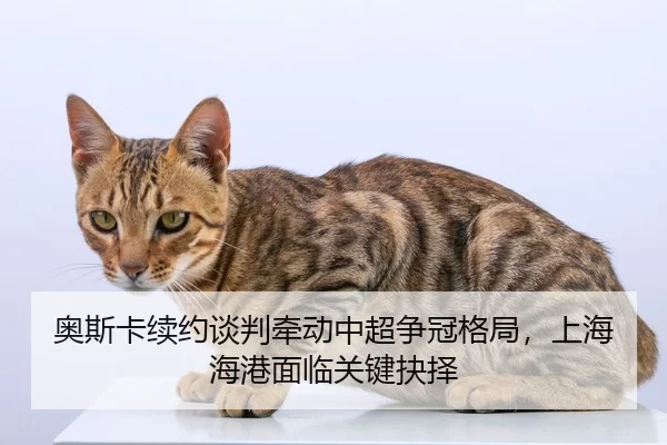 ao-si-ka-xu-yue-tan-pan-qian-dong-zhong-chao-zheng-guan-ge-ju-shang-hai-hai-gang-mian-lin-guan-jian-jue-ze-2-180.jpg