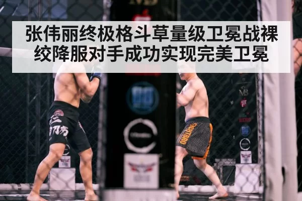 MMA cage fight