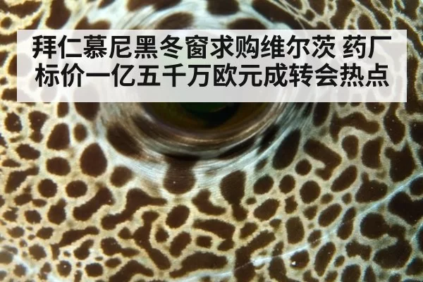 拜仁慕尼黑冬窗求购维尔茨 药厂标价一亿五千万欧元成转会热点